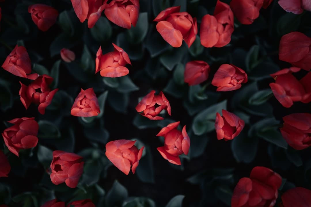 织女看了都点赞 传承非遗才是七夕的“躲藏大招”｜我的节节·七夕篇